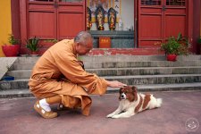 This Buddhist Monk Has Rescued Thousands of Animals in Shanghai