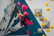 [The Collection]: Rock Climbing Gyms